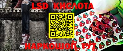 гидропоника Будённовск