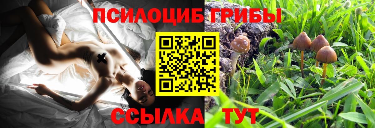 Сухой Лог  Галлюциногенные грибы мухоморы  Вход с VPN 